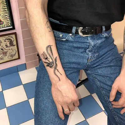 Tarantula Tattoo & Piercing